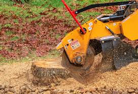 Seasonal Cleanup (Spring/Fall) in Driggs, ID